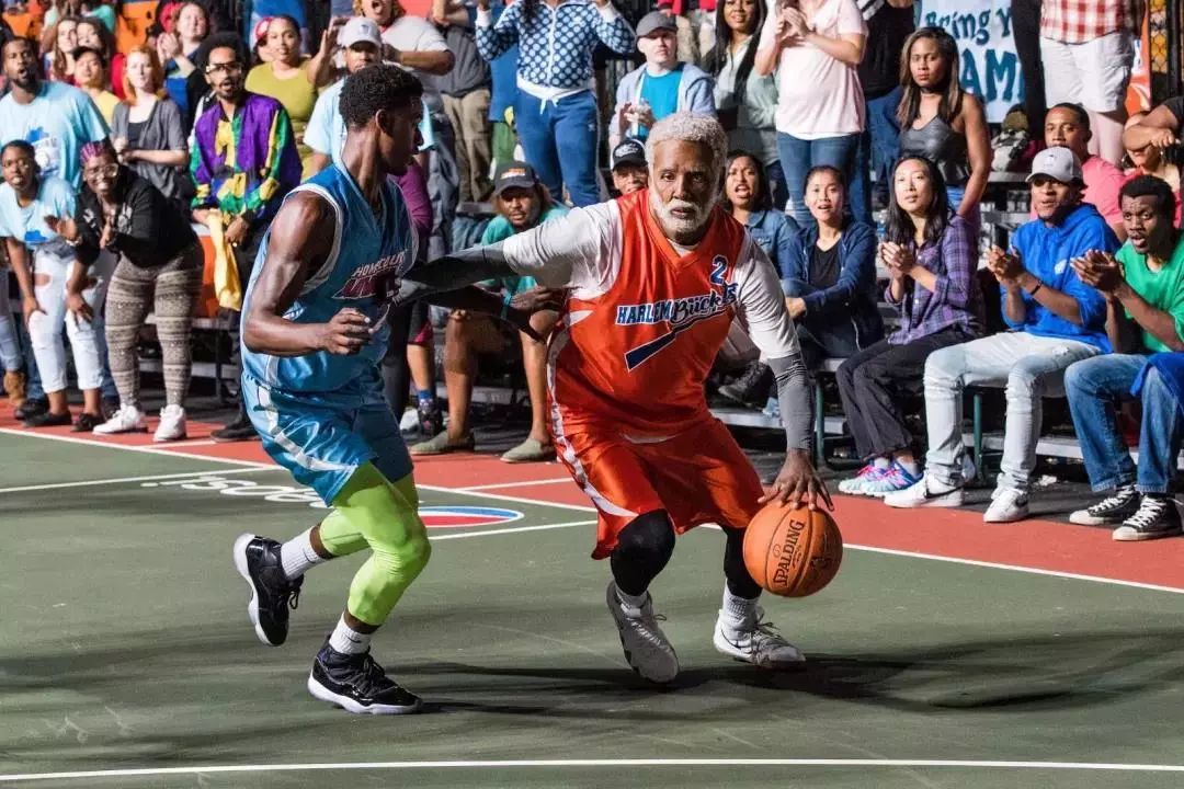 在这篇文章 在这篇文章